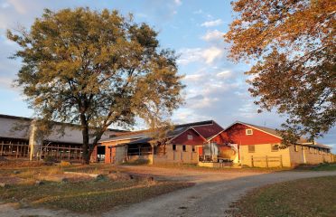 Fairholm Farm Inc