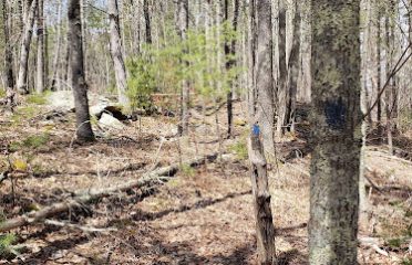 Mason Hill Conservation Area