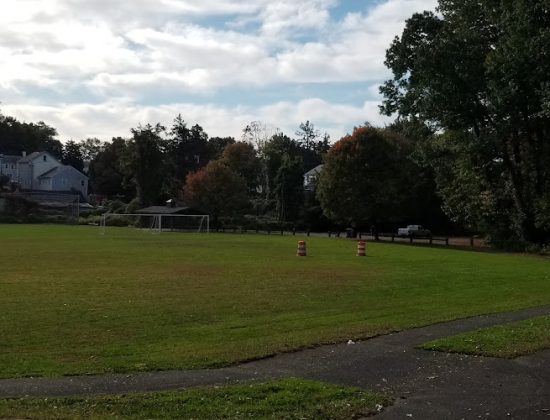 Flax Hill Park