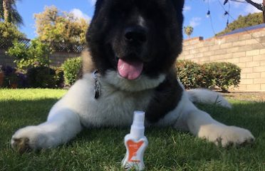 Kriddr Care