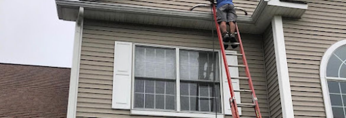 Expert Cleaning