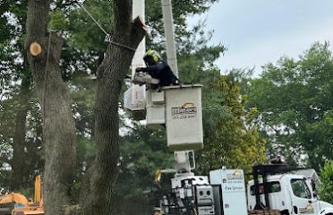 Mineri Landscaping LLC