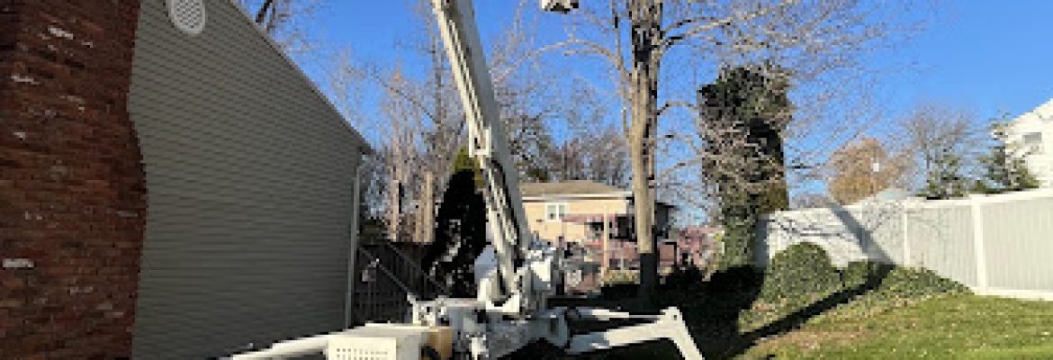 Jacobs & Rozich, LLC