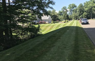 Cesar’s Lawn Maintenance and Masonry