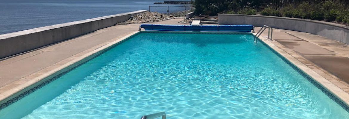 Dolphinpoolcleaning