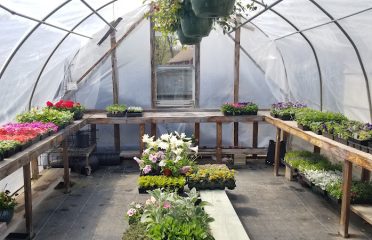 Gray House Farms Garden Center