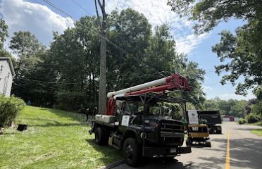 Y&B Landscaping Tree Services LLC