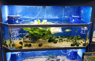 Aquatic Wildlife Co