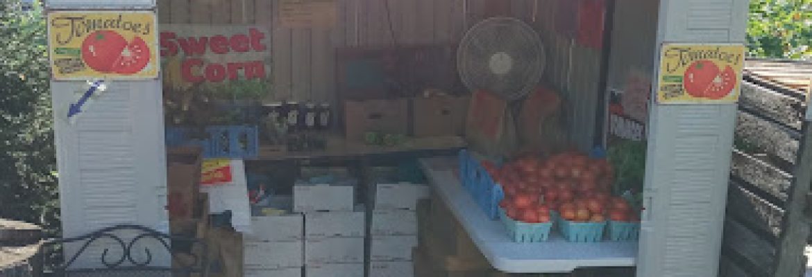 Jimbouys Farm