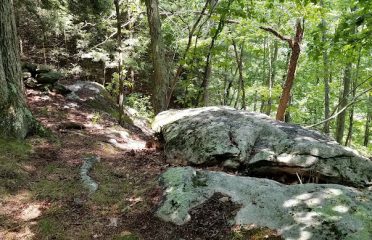 The Church Farm Blue Trail