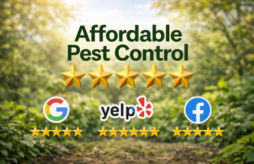 Affordable Pest Control