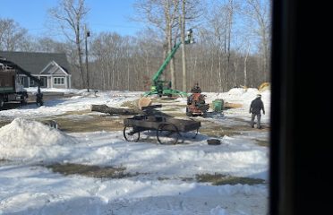 The Tree Company, LLC