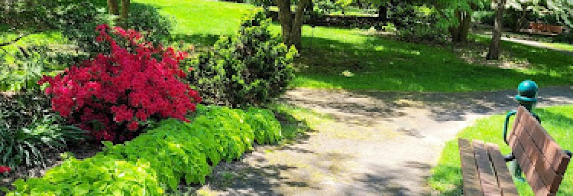 Schultz Park