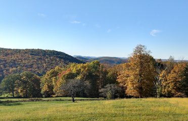 Litchfield County Livery LLC