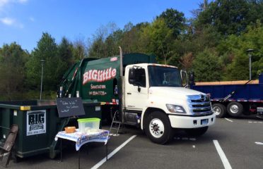 Big Little Sanitation Company