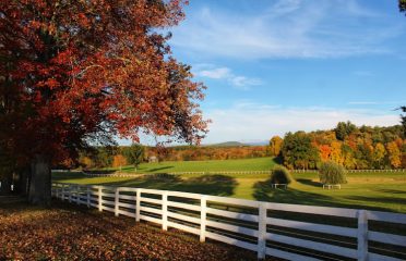 Somersville