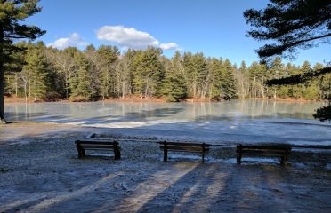 Quaddick State Forest