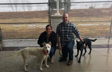 Stratford Animal Control Department