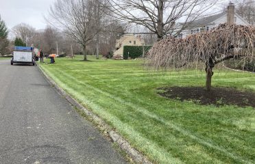 JJBM Landscaping & Tree Removal, LLC