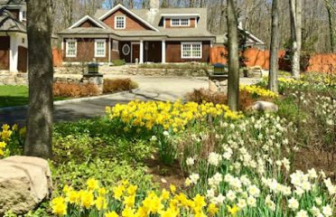 Camilla Landscape Design