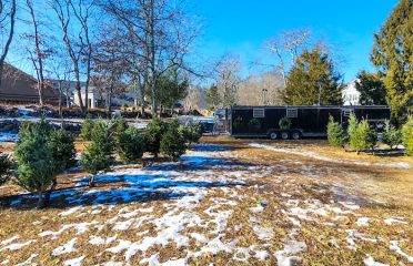 Heidi’s Vermont Evergreens