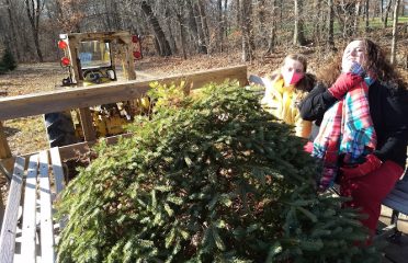 Brinks Christmas Tree Farm