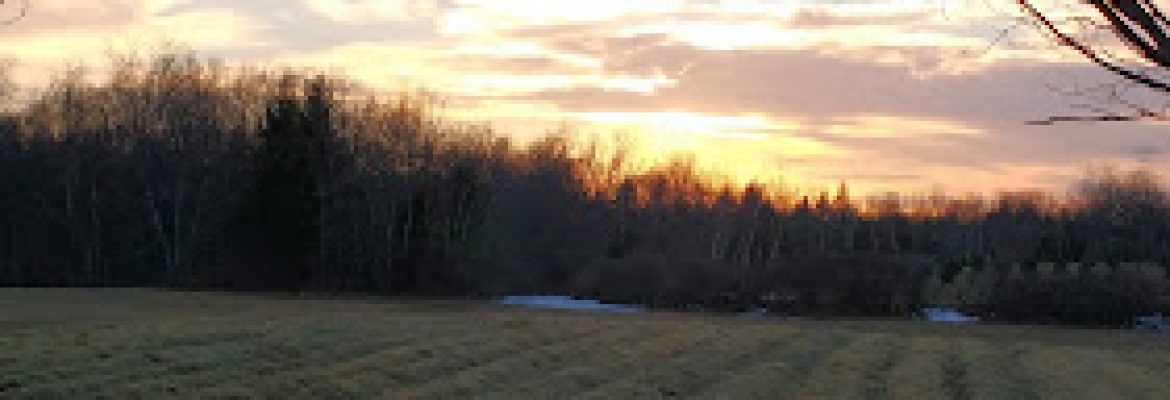 Powder Brook Farm