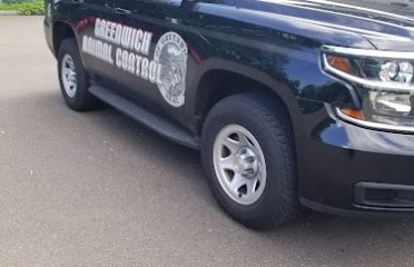 Greenwich Animal Control