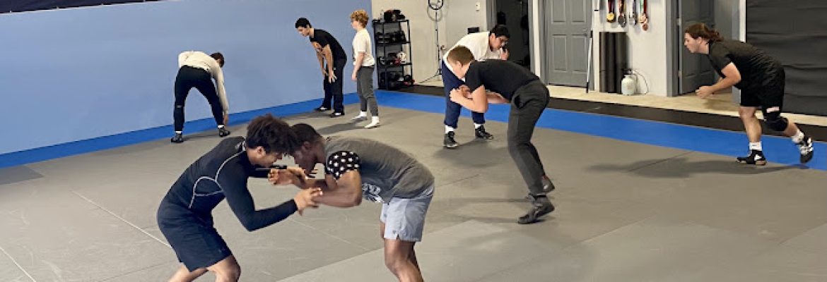 Technique BJJ