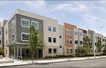 The Suites at Yale – New Haven