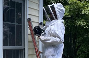 CT Pest Solutions