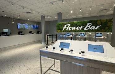 Insa Cannabis Dispensary Hartford