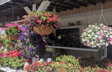 Garden Center