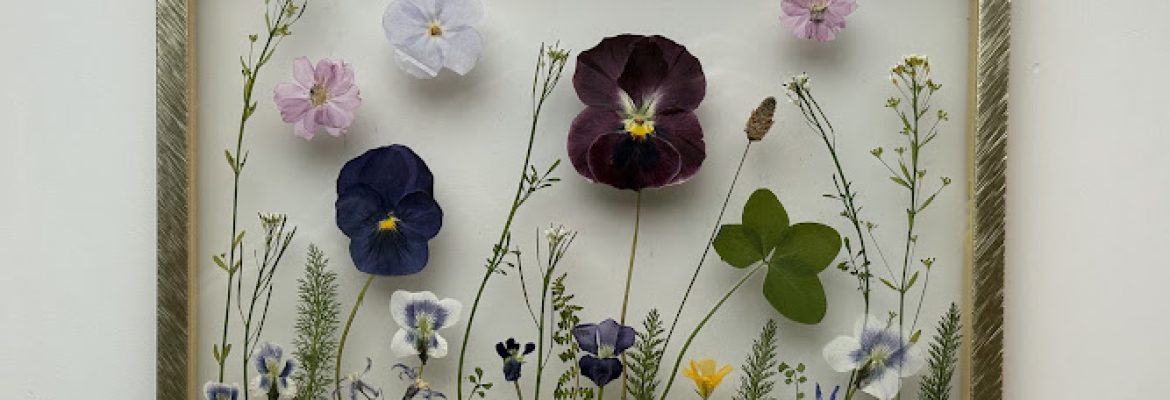 Picked Posies