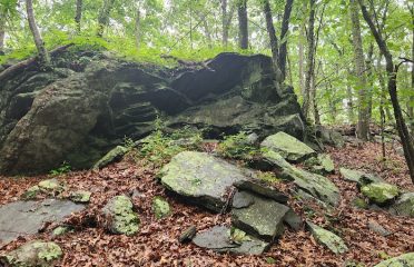 Canfield Woods Book Hill Parking
