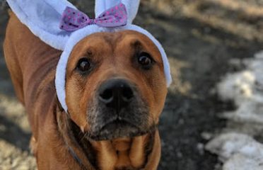 The Meriden Humane Society