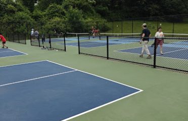 Buena Vista Pickleball Courts