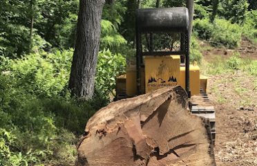 Frink Landworks Forestry and Logging