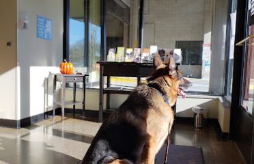 Veterinary Wellness Center of New Haven