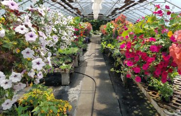 Mack & Twine Farms – Greenhouses