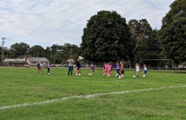 Ted Lane Field