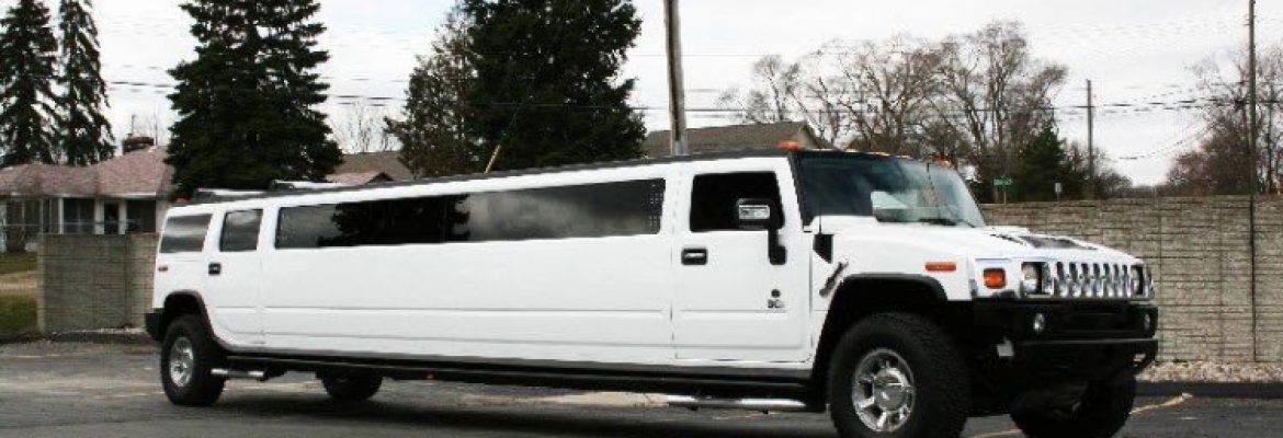 Hines Limousine Services
