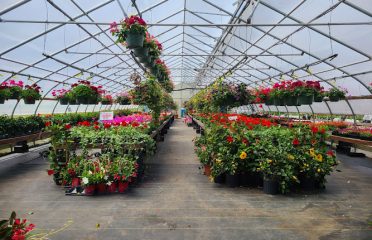 Scotts’ Farm & Greenhouses