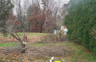 Ridgefield Landscapers & Drainage