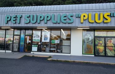 Pet Supplies Plus Orange