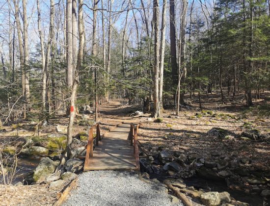 Webb Mountain Park