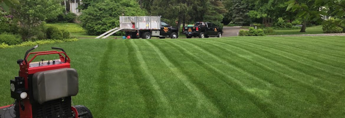 Ray’s Landscape Services LLC