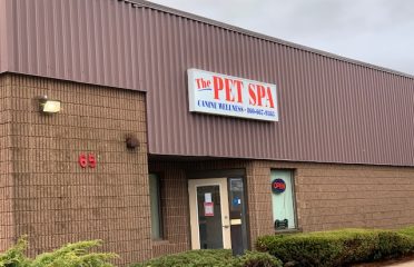 Newington Pet Spa