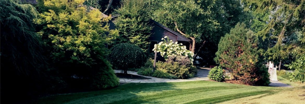 Sunview Property Services