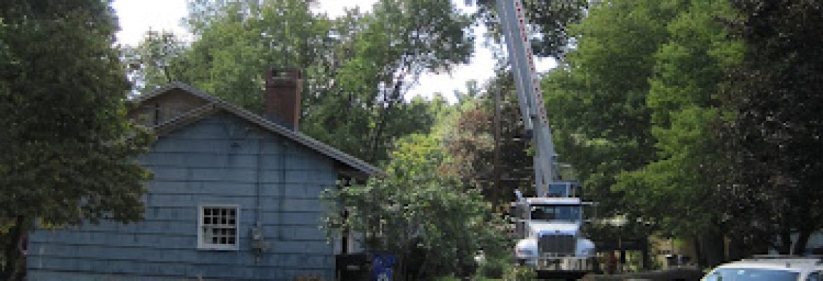 Precision Tree Experts LLC